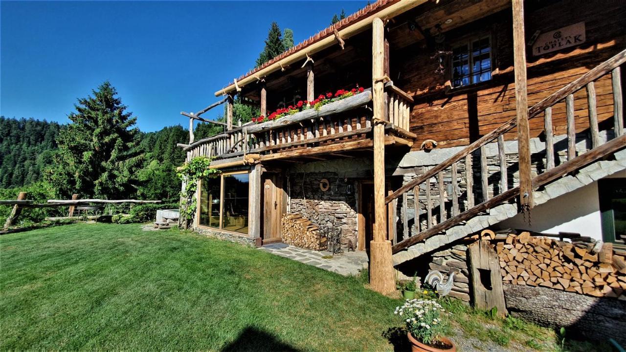 Chalets Toplak Sveti Duh na Ostrem Vrhu Dış mekan fotoğraf