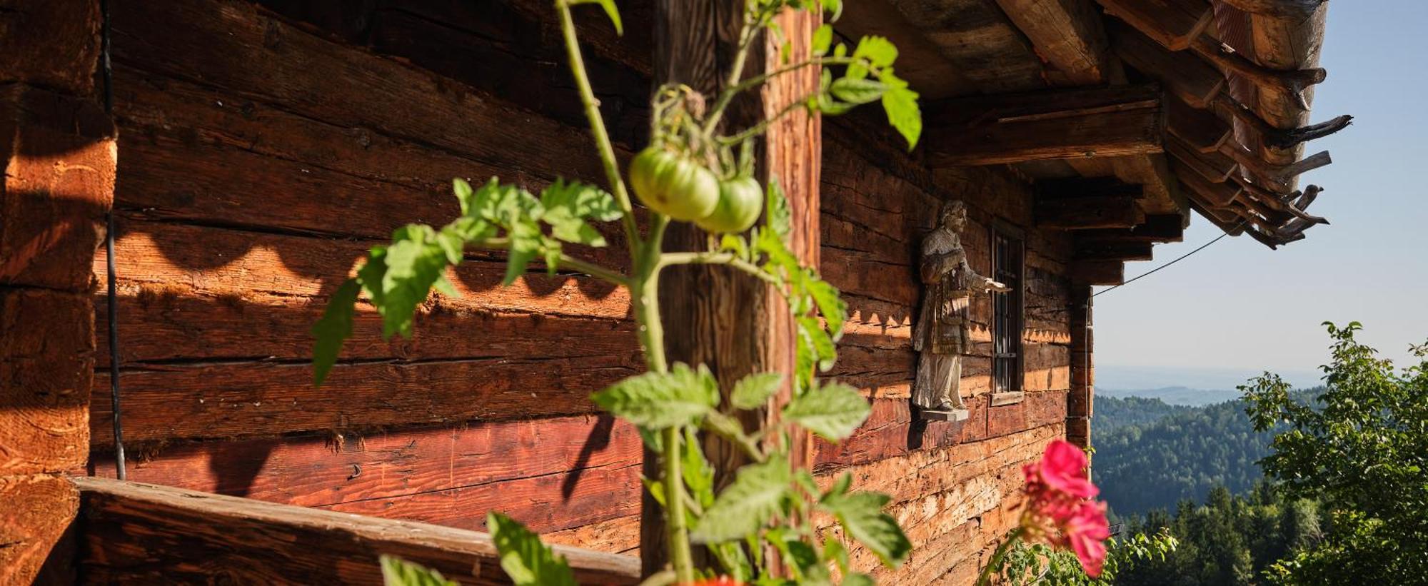 Chalets Toplak Sveti Duh na Ostrem Vrhu Dış mekan fotoğraf