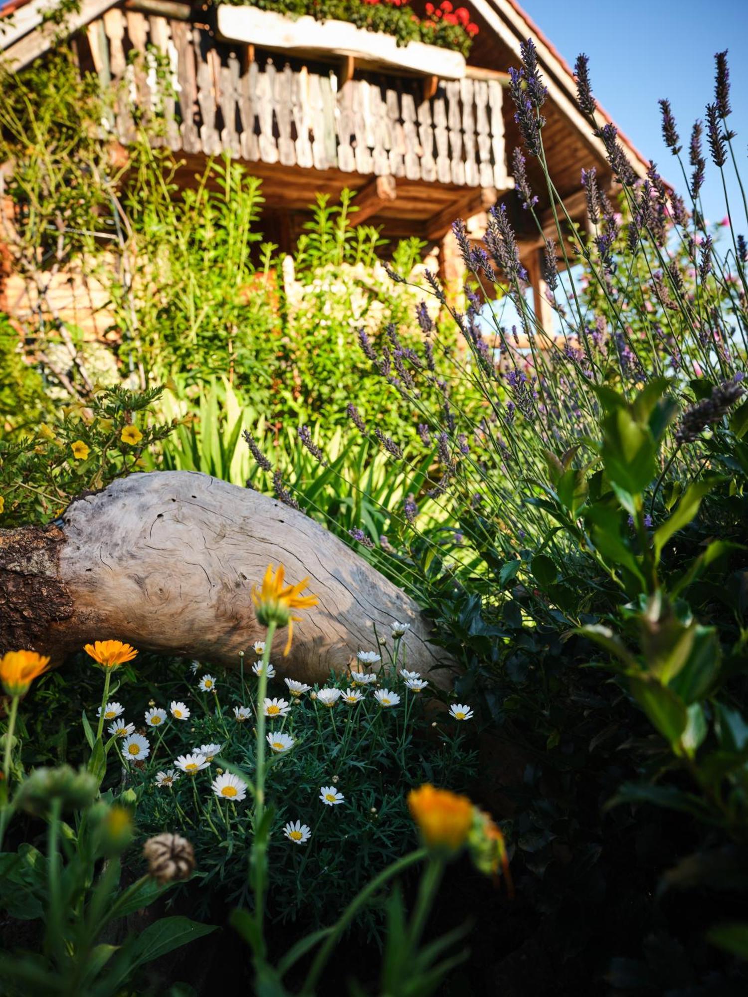 Chalets Toplak Sveti Duh na Ostrem Vrhu Dış mekan fotoğraf