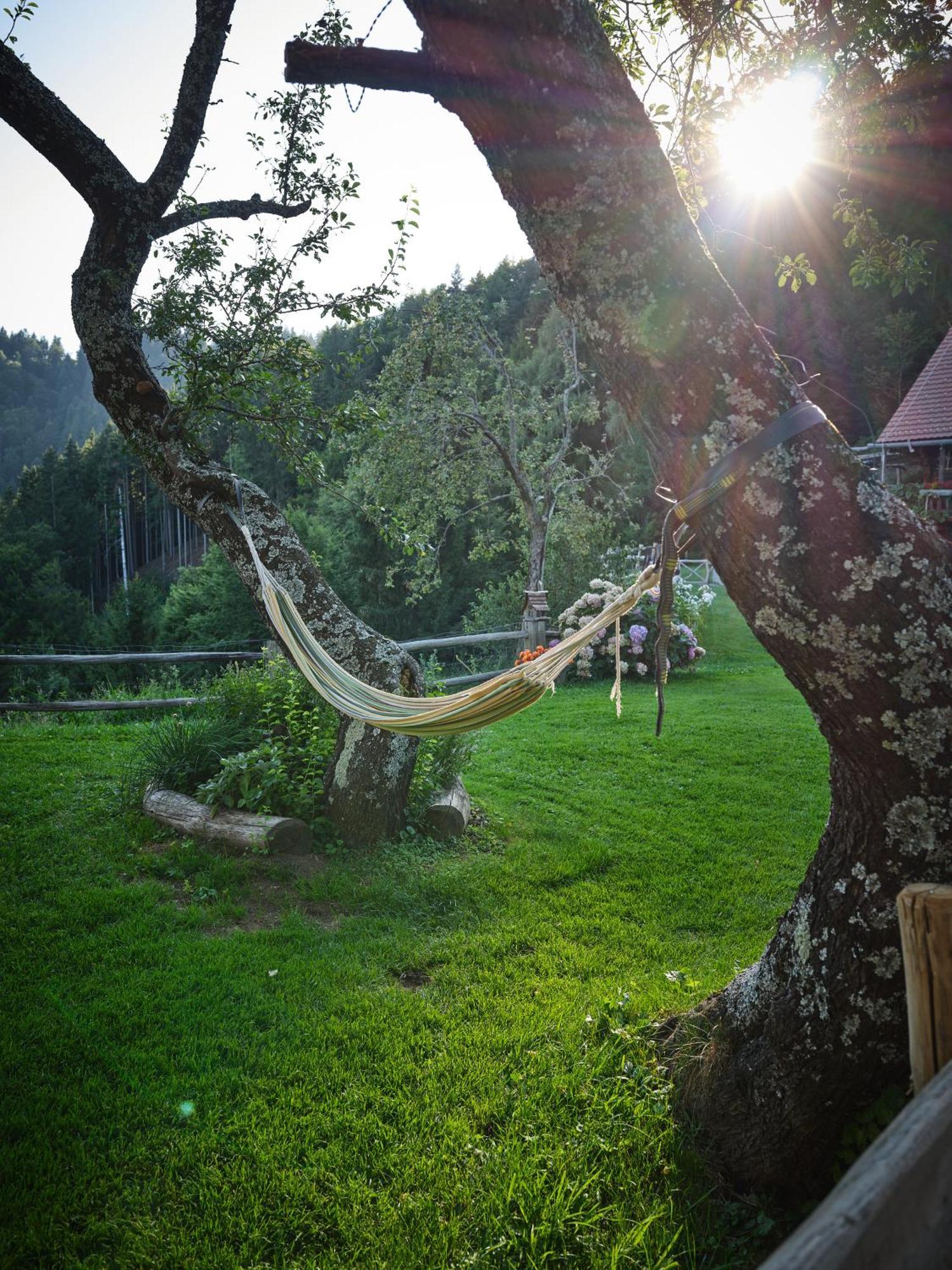 Chalets Toplak Sveti Duh na Ostrem Vrhu Dış mekan fotoğraf