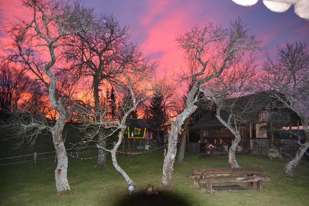 Chalets Toplak Sveti Duh na Ostrem Vrhu Dış mekan fotoğraf
