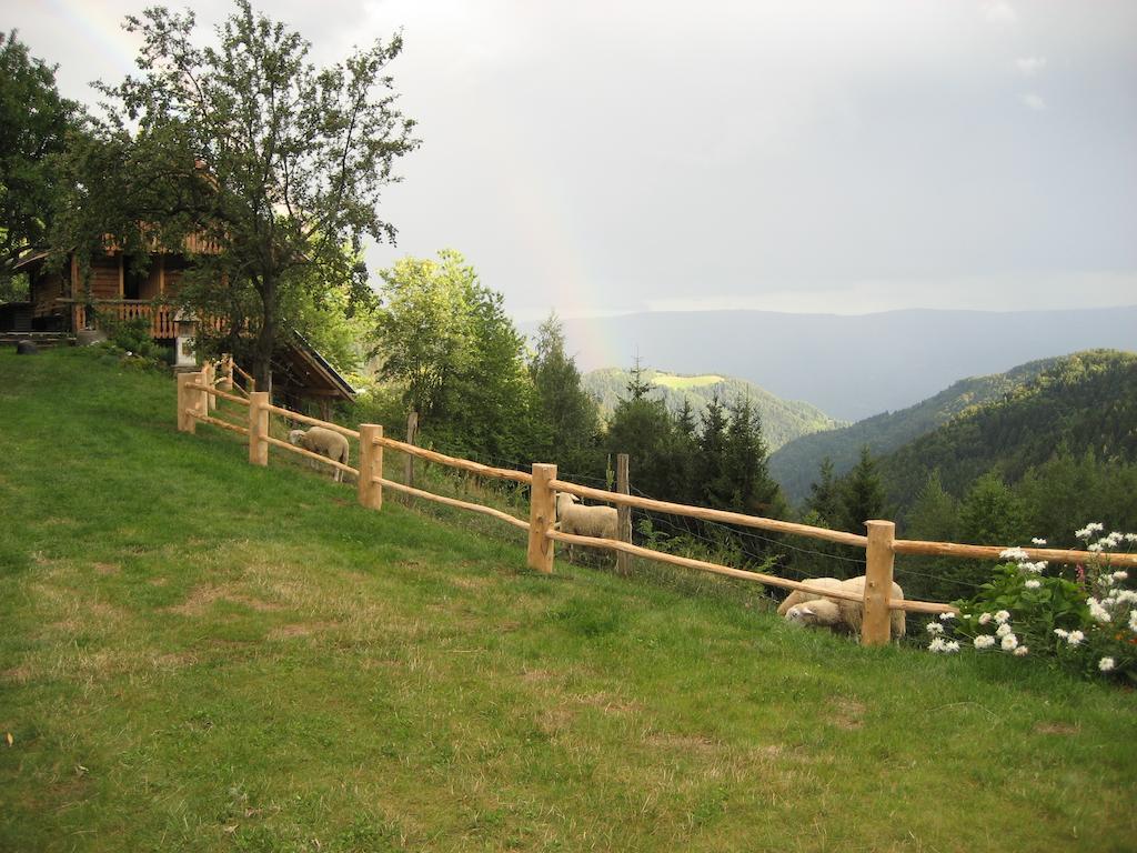 Chalets Toplak Sveti Duh na Ostrem Vrhu Dış mekan fotoğraf