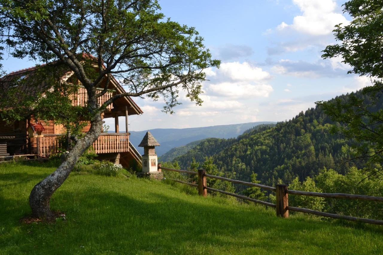 Chalets Toplak Sveti Duh na Ostrem Vrhu Dış mekan fotoğraf